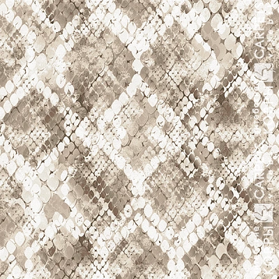 «Палитра 113» 2732 c2